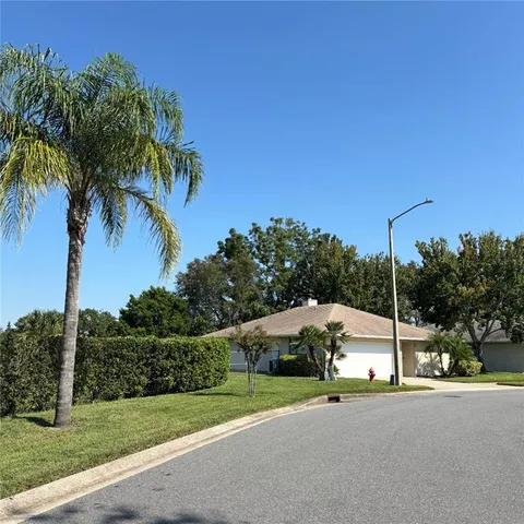 a view of a road with a big yard and palm trees