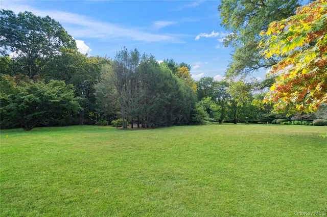 a view of a yard with a tree