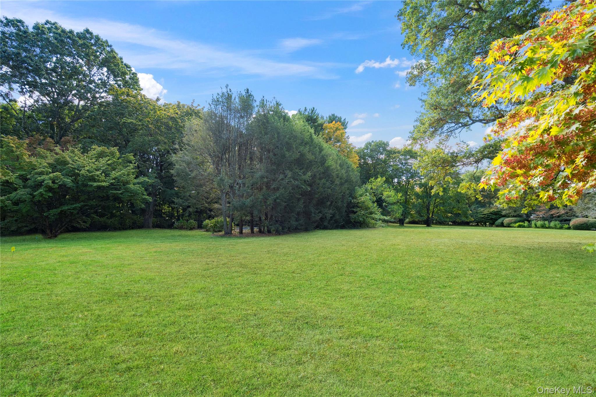 897 Ripley Lane Muttontown, NY 11771 - Photo 34 of 45 Emerald Lawn