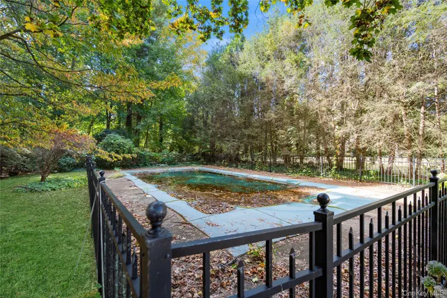 a view of flowers in a garden