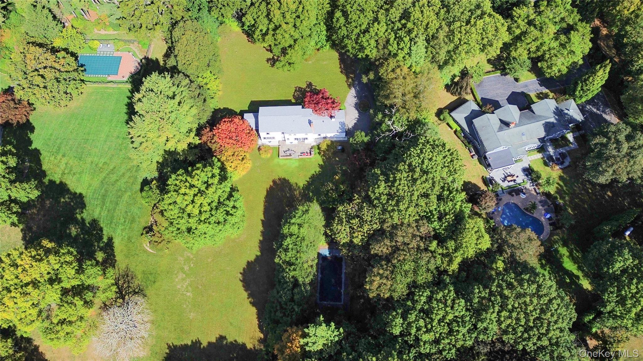 897 Ripley Lane Muttontown, NY 11771 - Photo 40 of 45 Lush landscaping