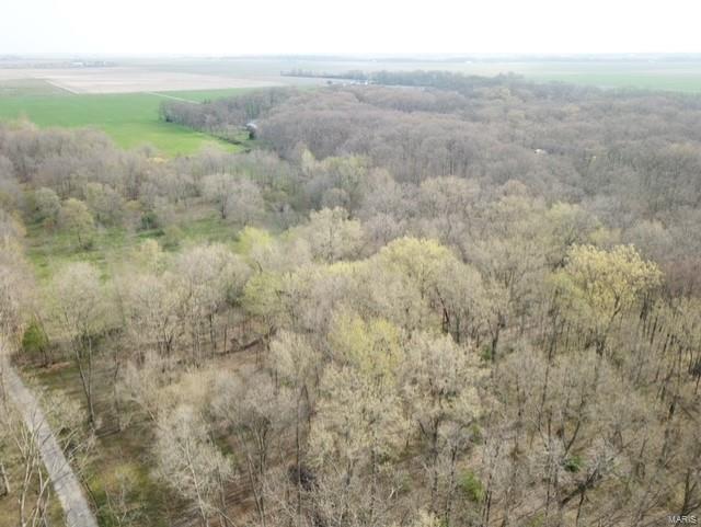 12300 Keyesport Road Carlyle, IL 62231 - Photo 5 of 75