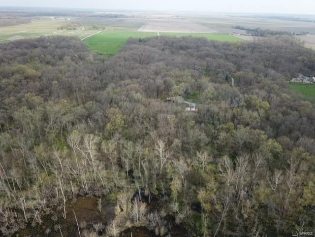 12300 Keyesport Road Carlyle, IL 62231 - Photo 75 of 75