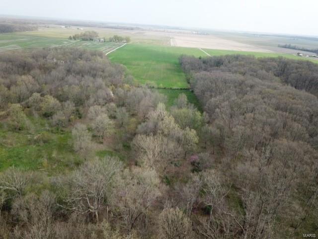 12300 Keyesport Road Carlyle, IL 62231 - Photo 8 of 75