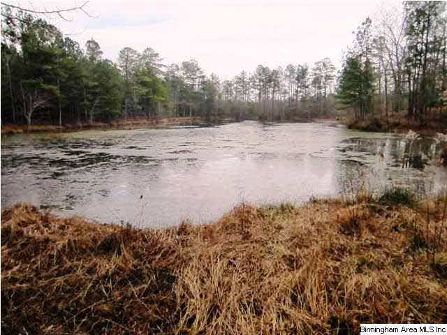 48 Highway, Unit 36 Lineville, AL 36266 - Photo 5 of 7