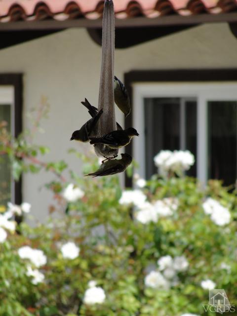 522 Avocado Place Camarillo, CA 93010 - Photo 6 of 30