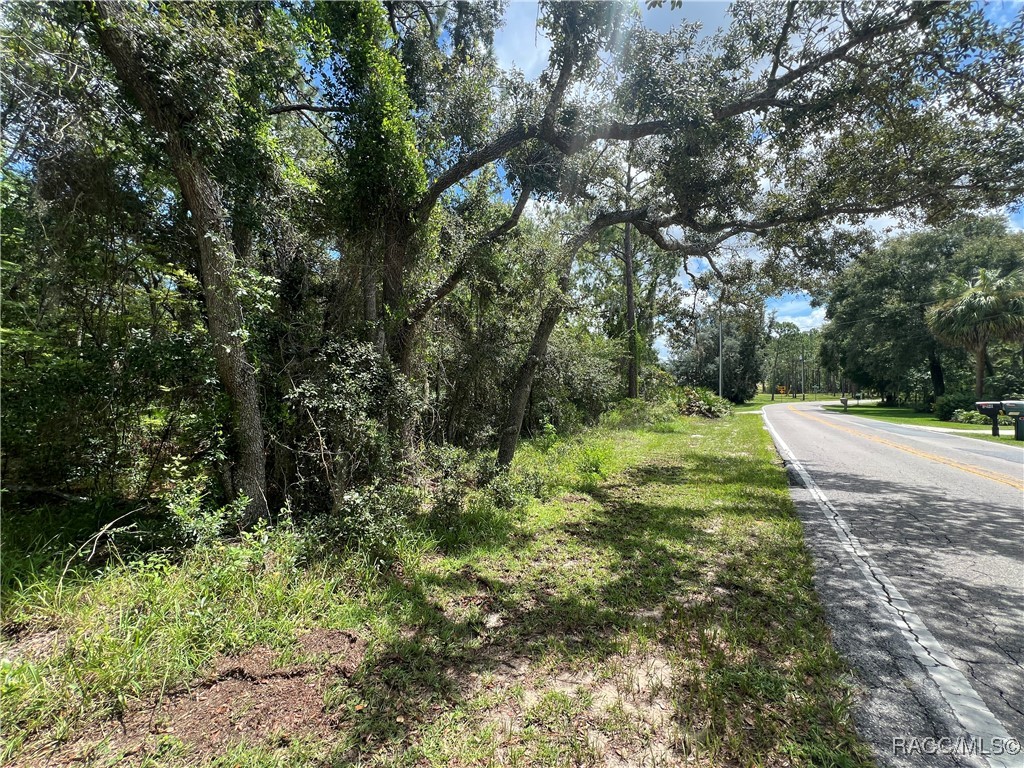 787 East Reehill Street Lecanto, FL 34461 - Photo 3 of 10 Lot on left