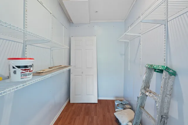a room with a wooden floor and a potted plant