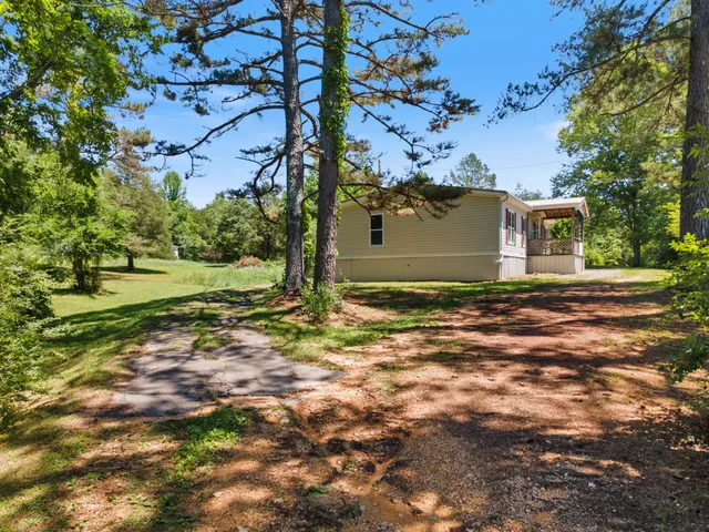 a view of a yard with plants and a large tree