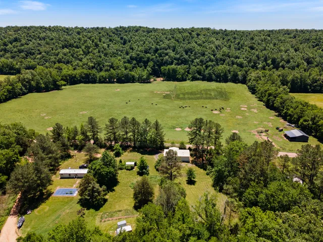 a view of a big yard with large trees
