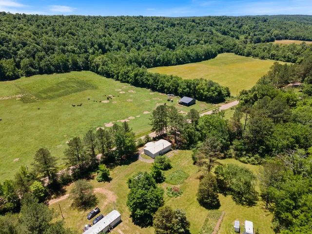 a view of a garden with an ocean