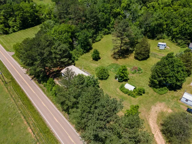 a view of a garden with plants