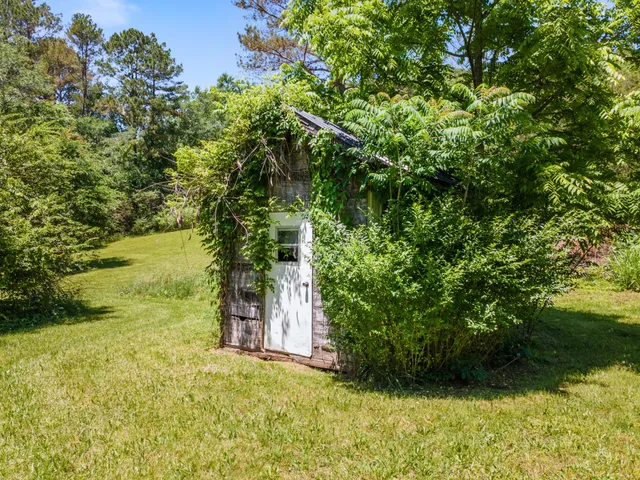 a view of yard with green space