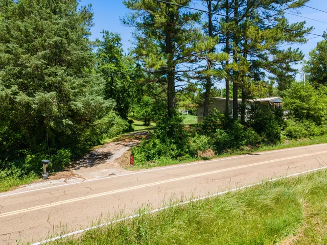 a view of a yard with plants and large trees