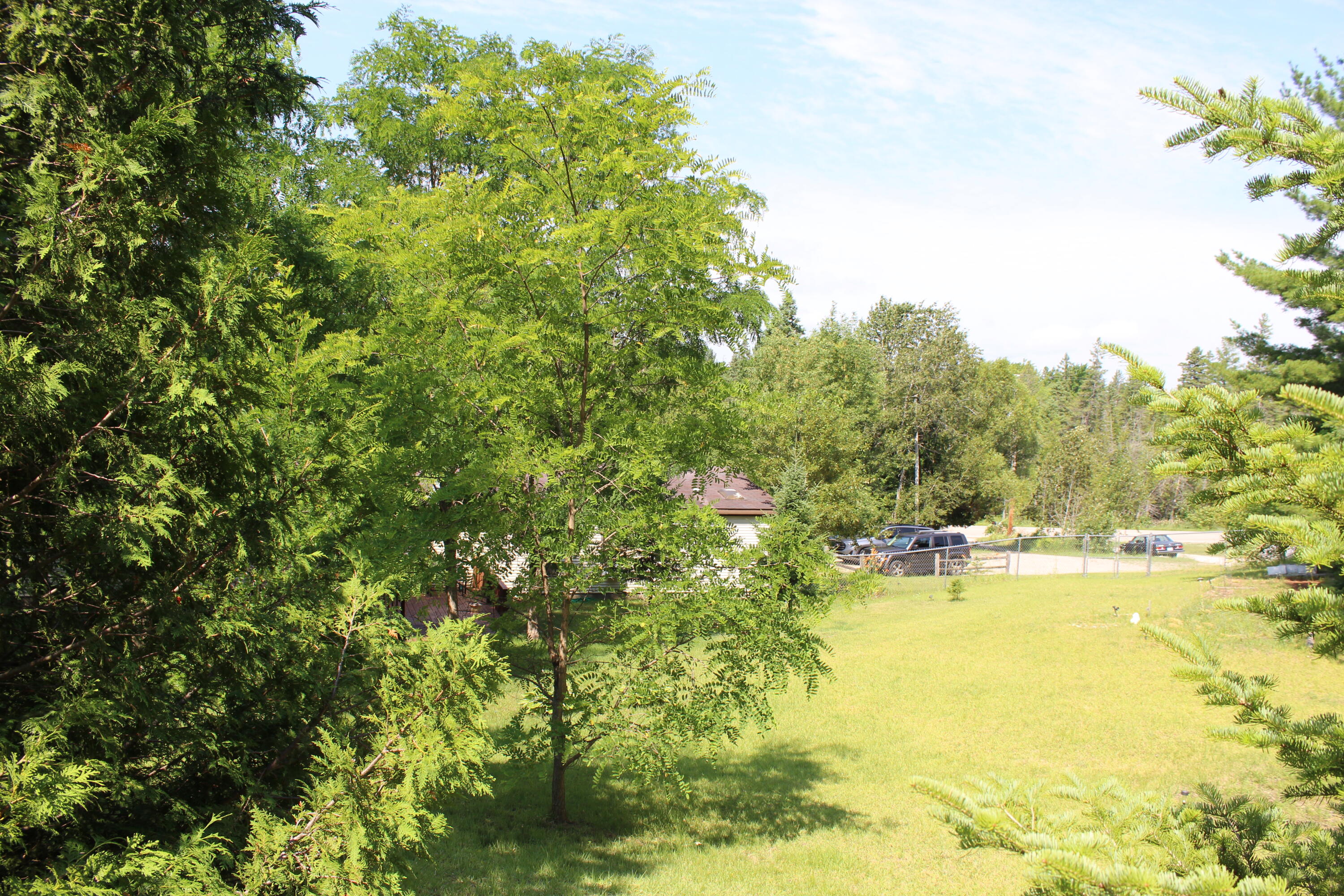 7880 Banwell Road Alanson, MI 49706 - Photo 37 of 37 Gallery Image 37