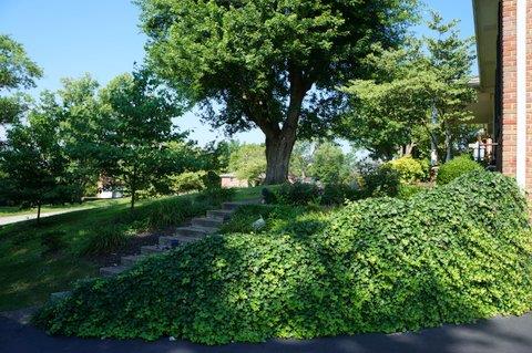 2117 Layton Road Clarksville, TN 37043 - Photo 2 of 20 Nicely landscaped walkway to the front door. The trees on this lot are just majestic!