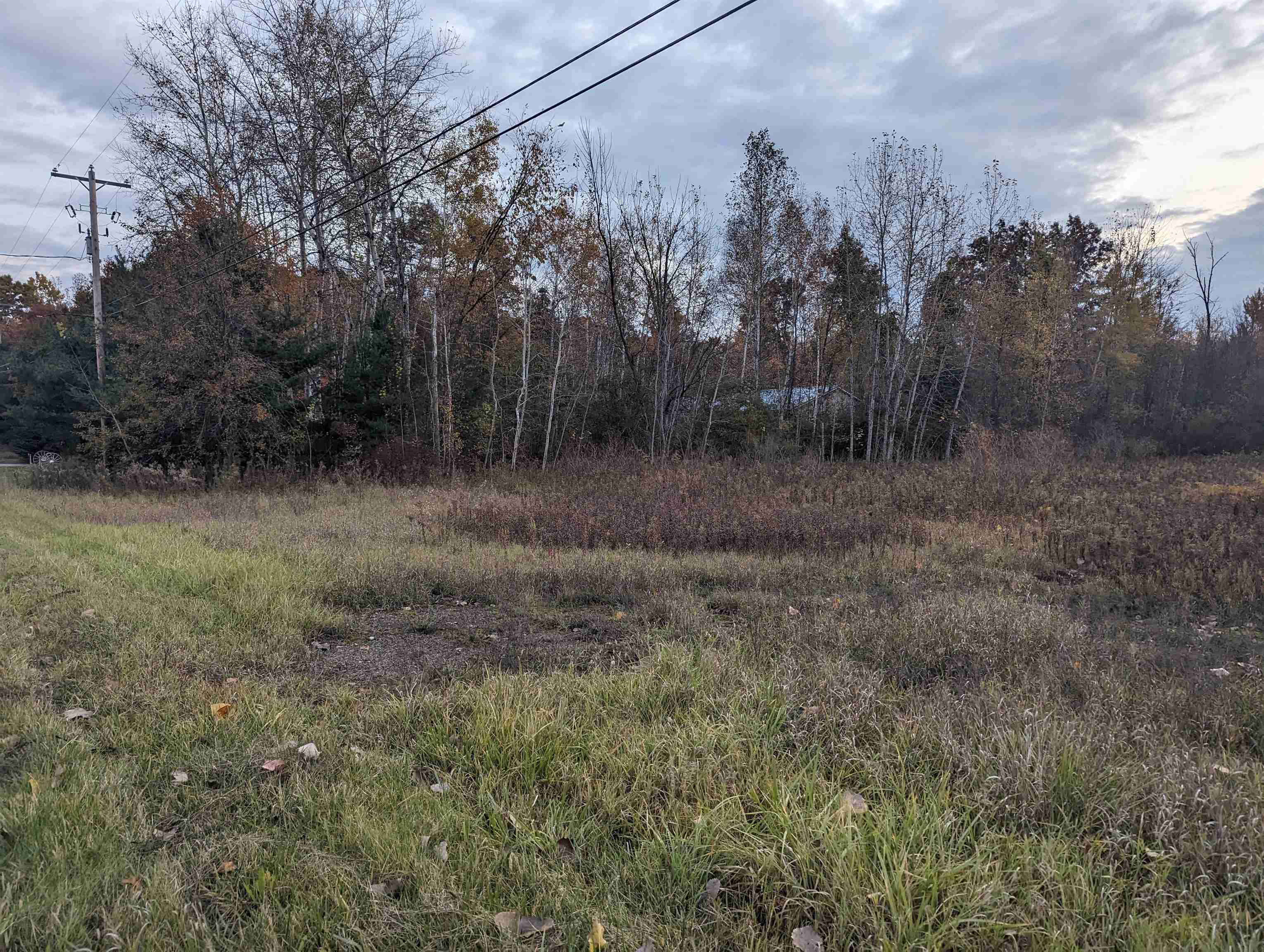 N/a South Hale Road Omer, MI 48749 - Photo 5 of 6