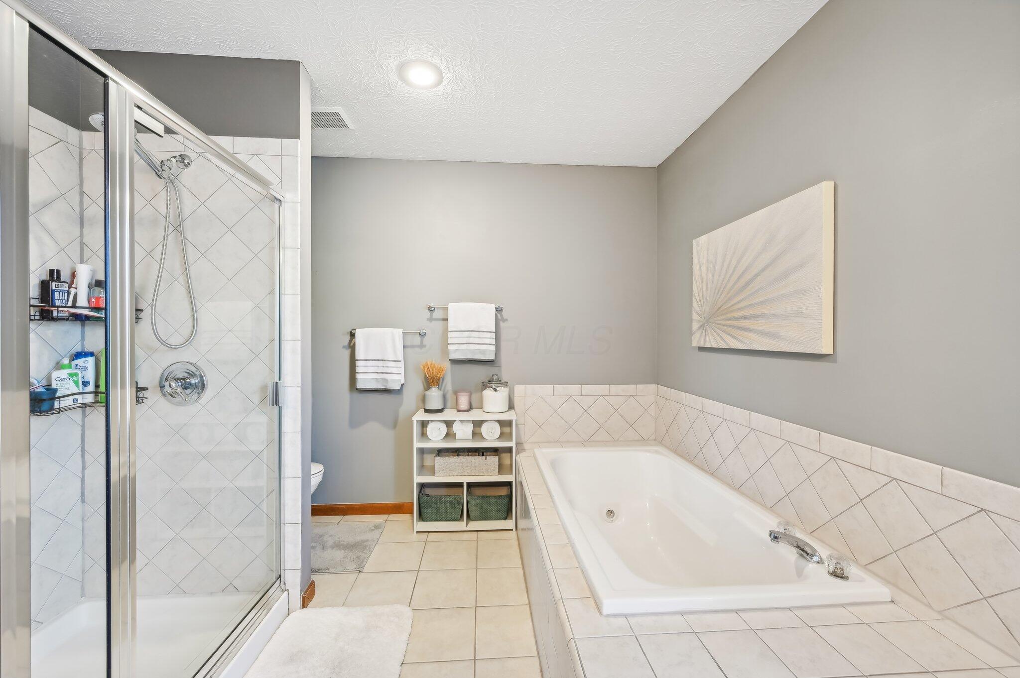 6048 Abbey Church Road Dublin, OH 43017 - Photo 17 of 27 Owner's Bath