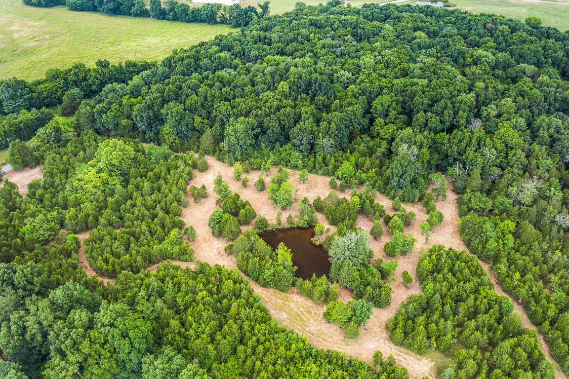 0 Grant Road Lebanon, TN 37090 - Photo 7 of 7 a view of a lake with a park