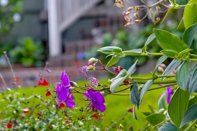 $1,799,500 | 3039 Dumas Street, San Diego, CA 92106