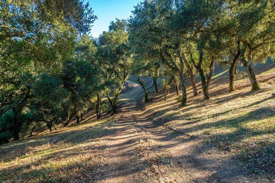 17114 Cachagua Road Carmel Valley, CA 93924 - Photo 28 of 32