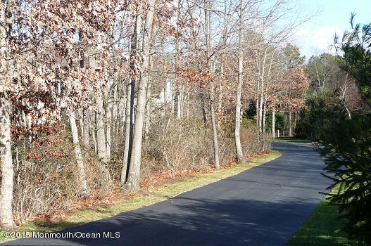 397 Toms River Road Jackson, NJ 08527 - Photo 24 of 24 P1050227
