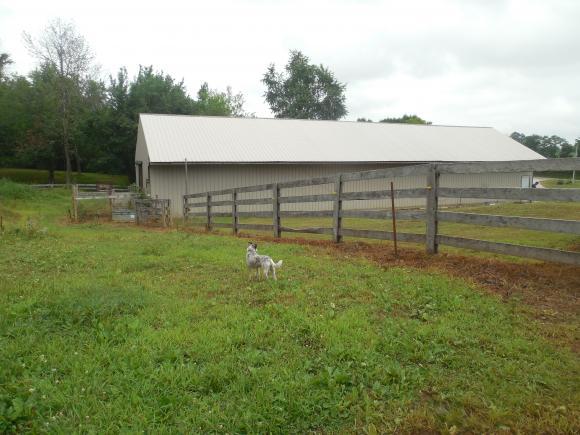 12585 Phillips Road Vevay, IN 47043 - Photo 23 of 24