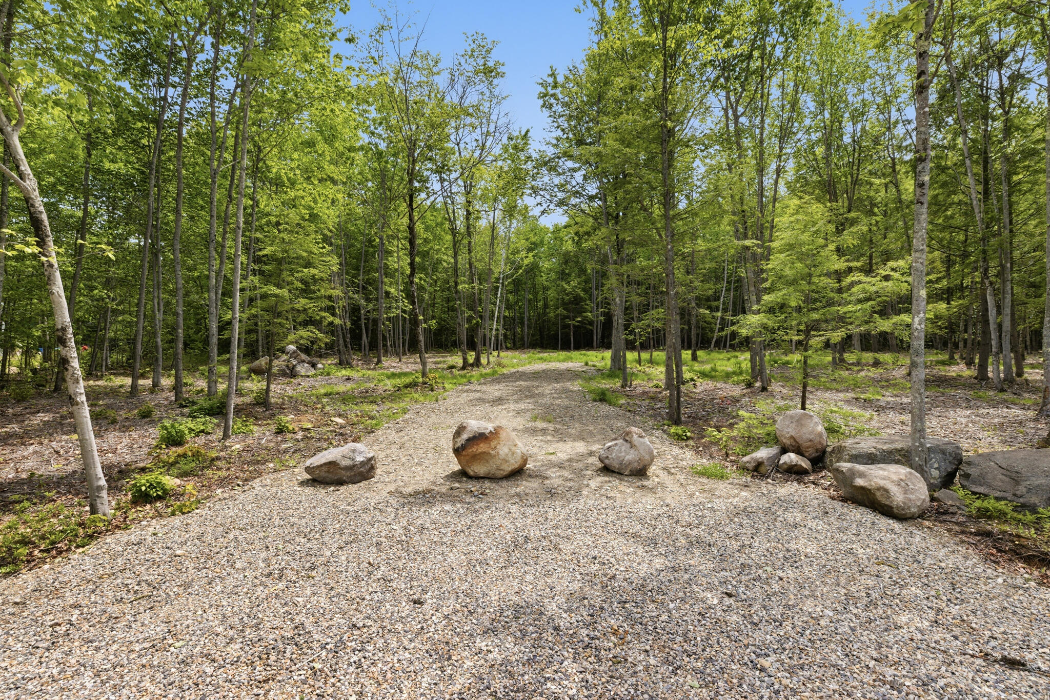 0 Buzzell Road Acton, ME 04001 - Photo 6 of 17 18