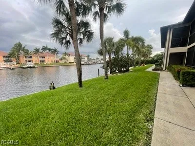 a view of a backyard with plants and lake view