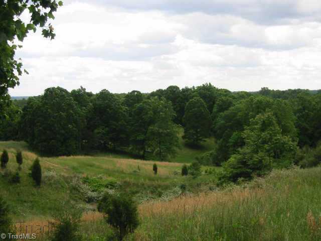 1780 Mountain View Road King, NC 27021 - Photo 2 of 4 Other.