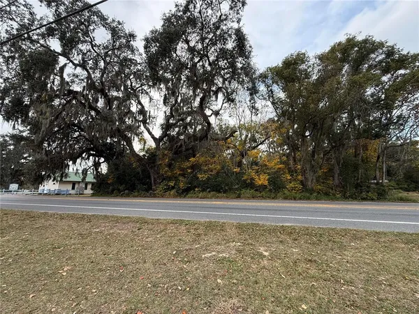 a view of a yard with large trees