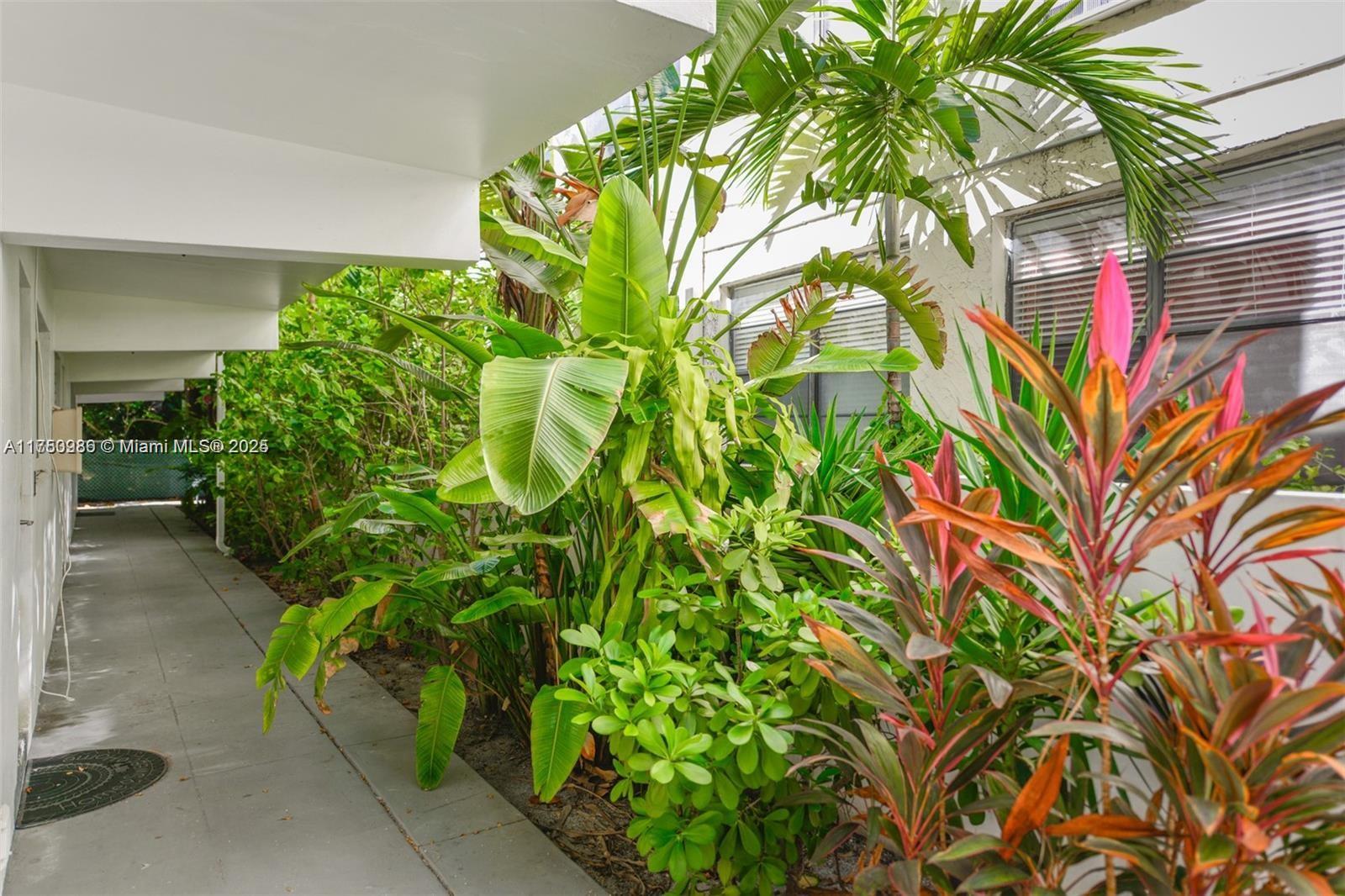 926 Michigan Avenue, Unit 12 Miami Beach, FL 33139 - Photo 14 of 14 a backyard of a house with lots of green space