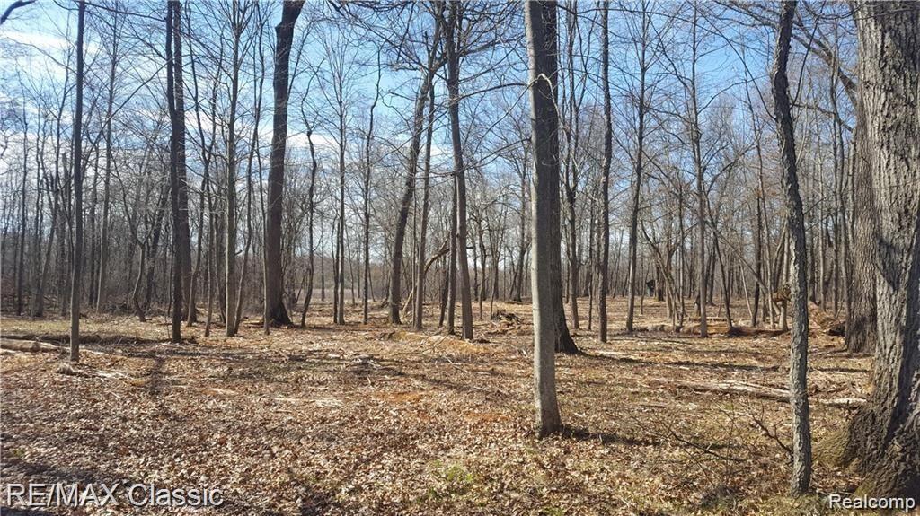 40 Ripple Way White Lake, MI 48383 - Photo 3 of 12