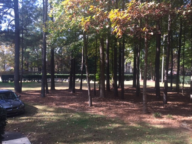 11508 Hickory Grove Church Road Raleigh, NC 27613 - Photo 3 of 3 Photo 3