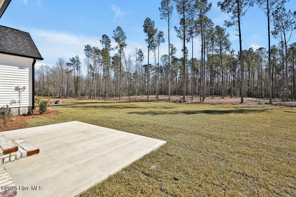 11149 Ashton Road Burgaw, NC 28425 - Photo 40 of 43 39