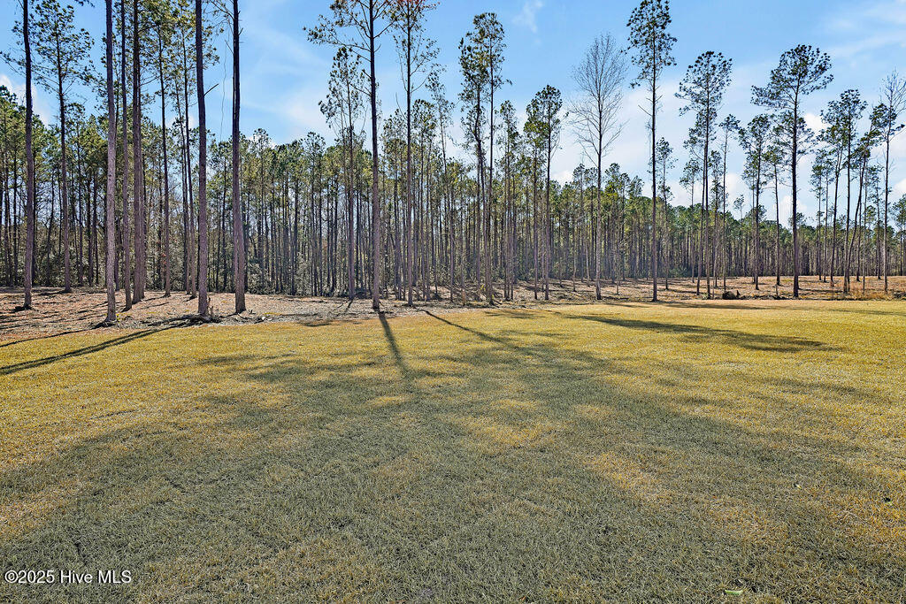 11149 Ashton Road Burgaw, NC 28425 - Photo 43 of 43 42
