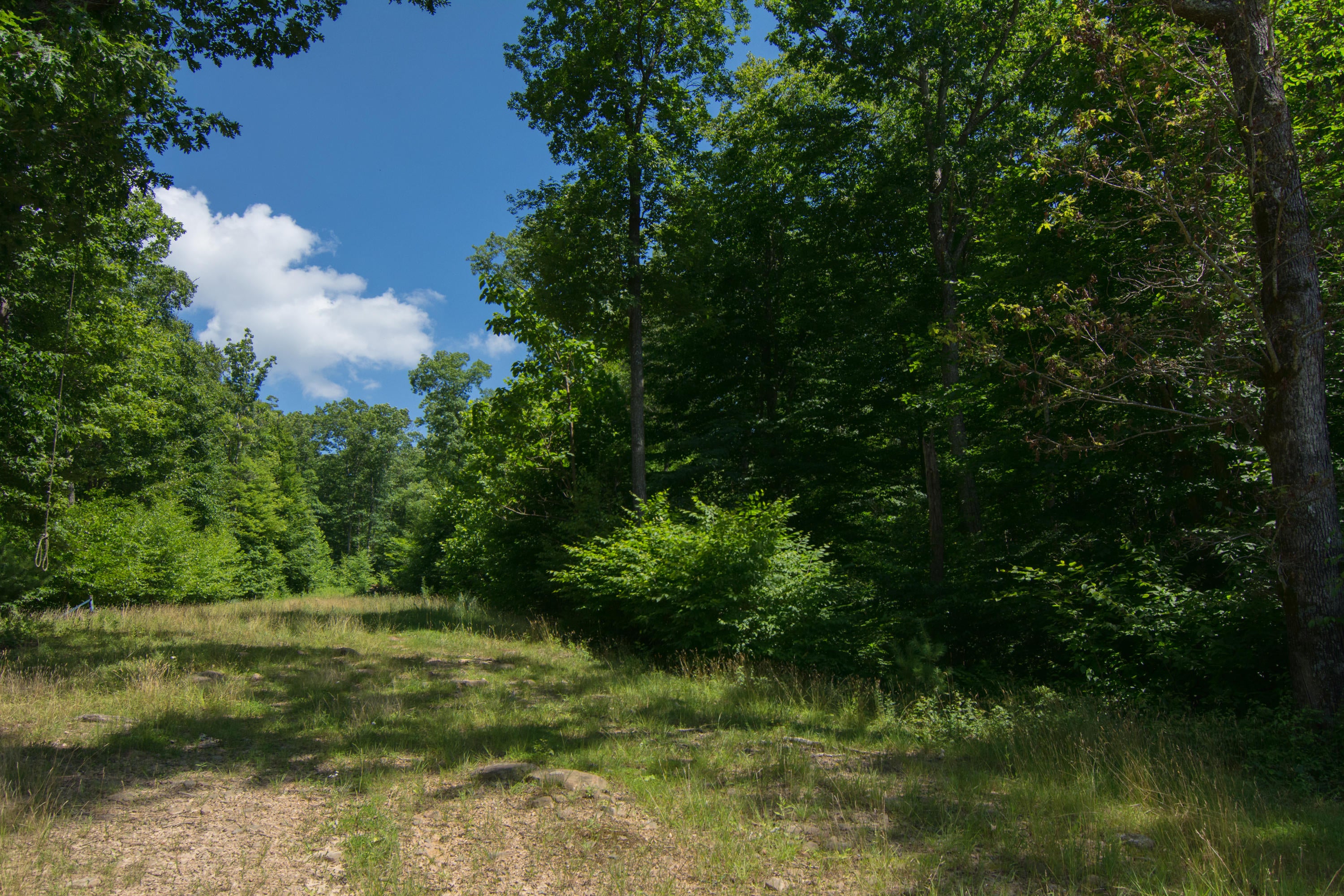 530 Sinking Creek Road Crawley, WV 24931 - Photo 55 of 61 Gallery Image 55