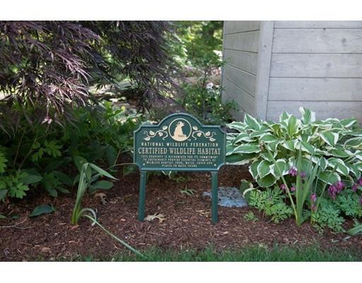 18 Firebrick Road Sharon, MA 02067 - Photo 30 of 37 Gallery Image 30