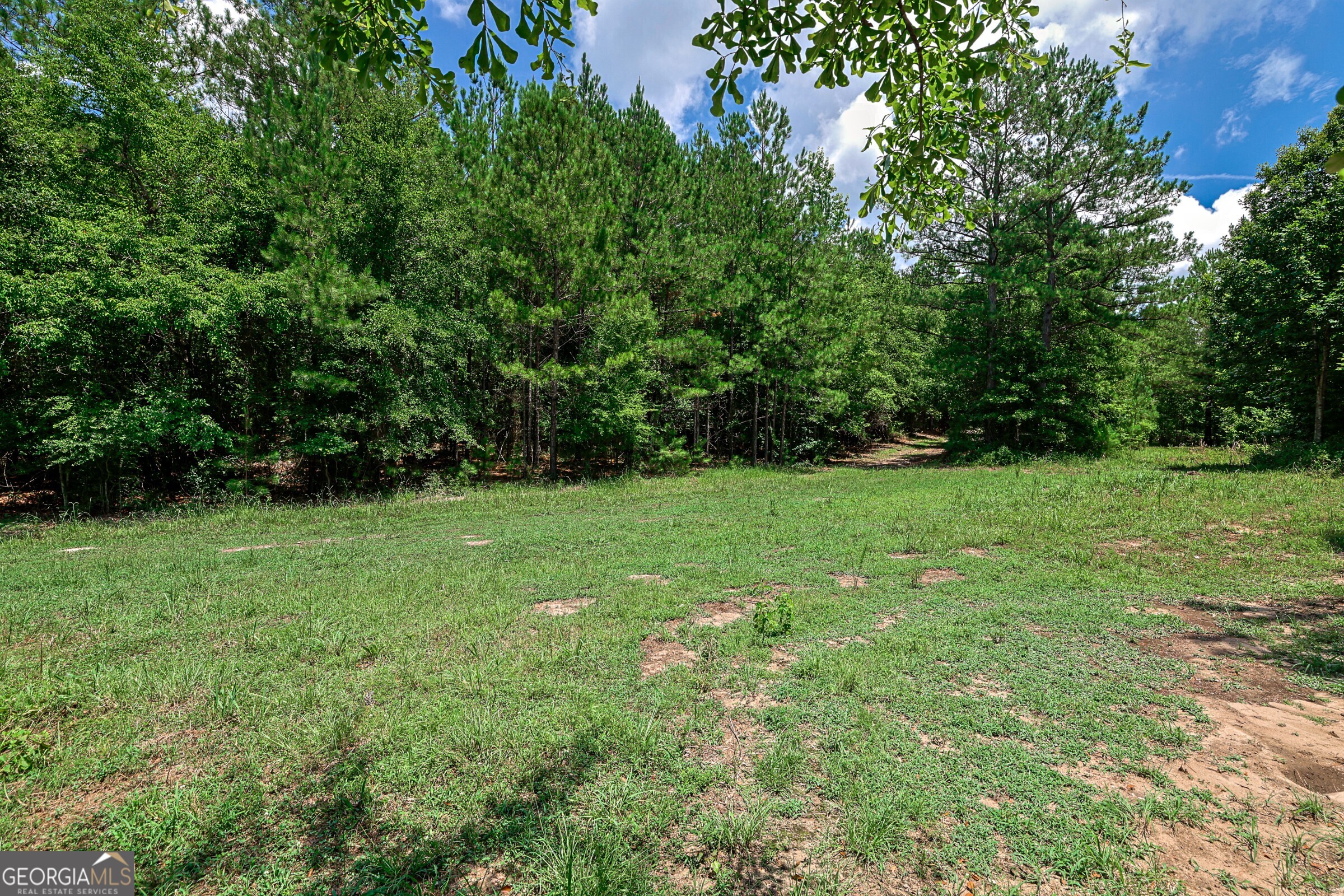 0 Wriley Road McIntyre, GA 31054 - Photo 12 of 51 Gallery Image 12