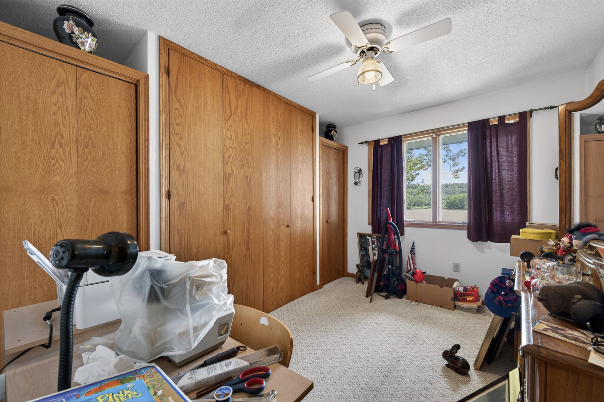 23813 Lake Road Trempealeau, WI 54661 - Photo 29 of 29 WKP_6052