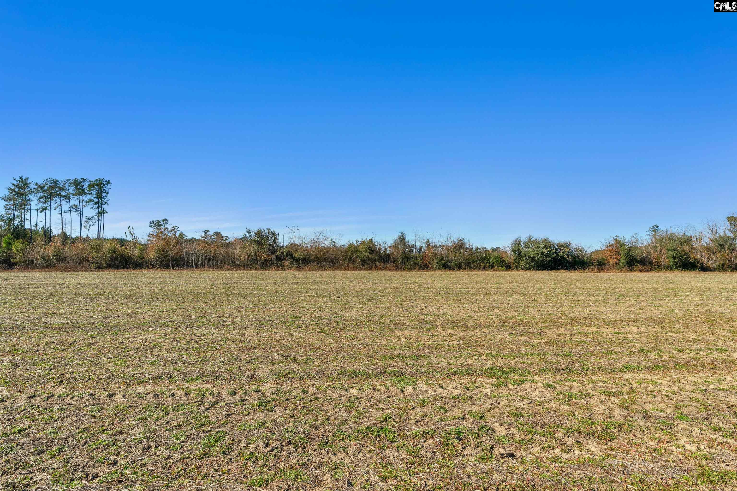 1745 Williams Hill Road Hemingway, SC 29554 - Photo 9 of 25