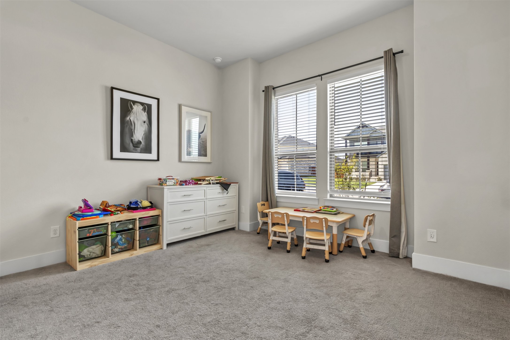 209 Azalea Spg Road Liberty Hill, TX 78642 - Photo 11 of 29 Carpeted room with white baseboards, light grey walls, and two large windows featuring blinds and drapes