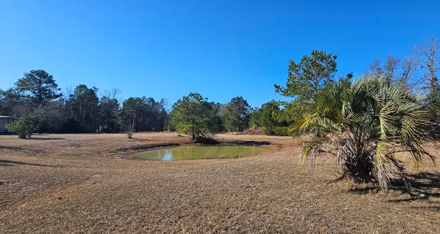 $995,000 | 280 Royalegates Court, Cross, SC 29436