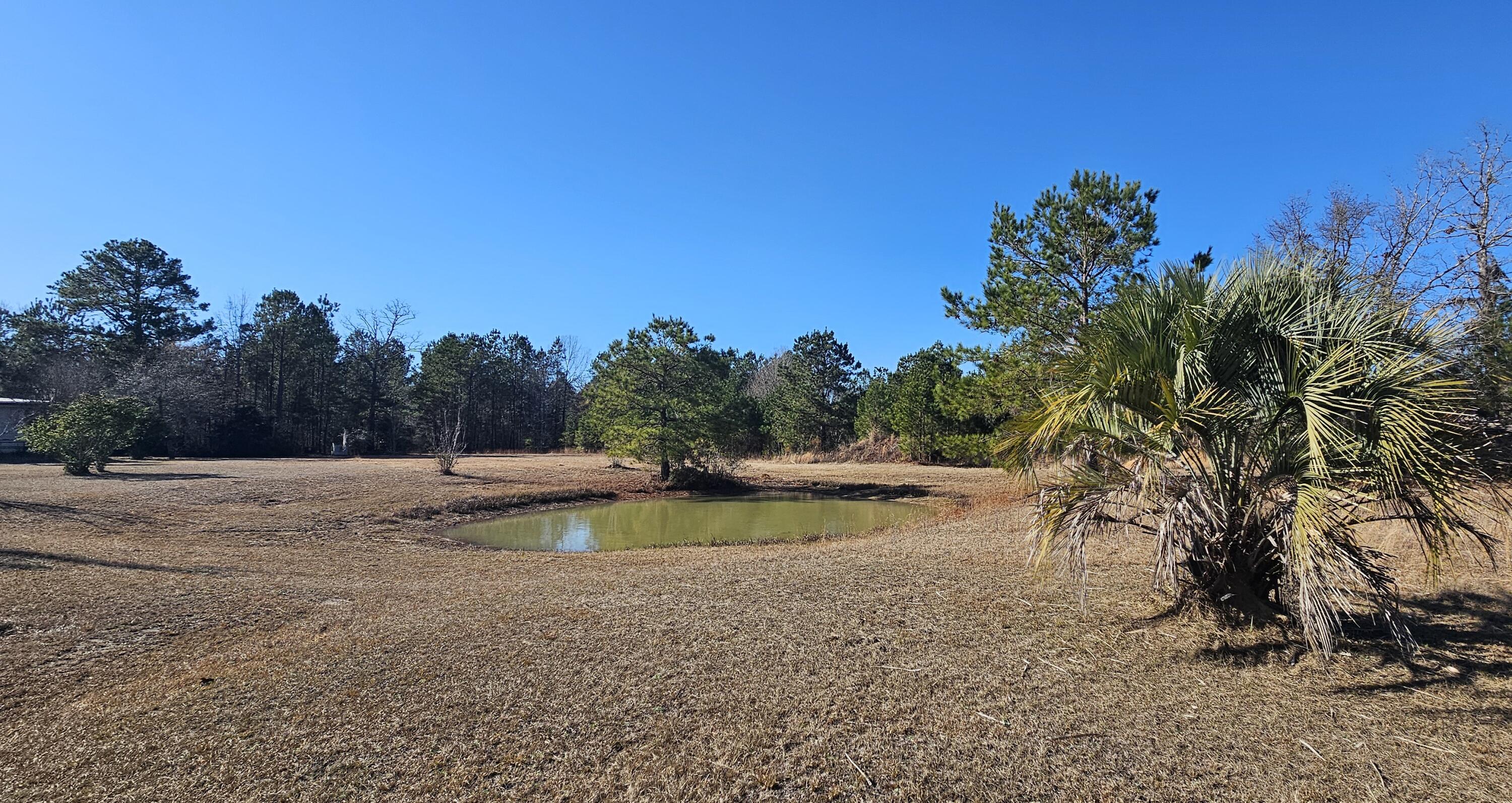 280 Royalegates Court Cross, SC 29436 - Photo 11 of 29 20250103_131206