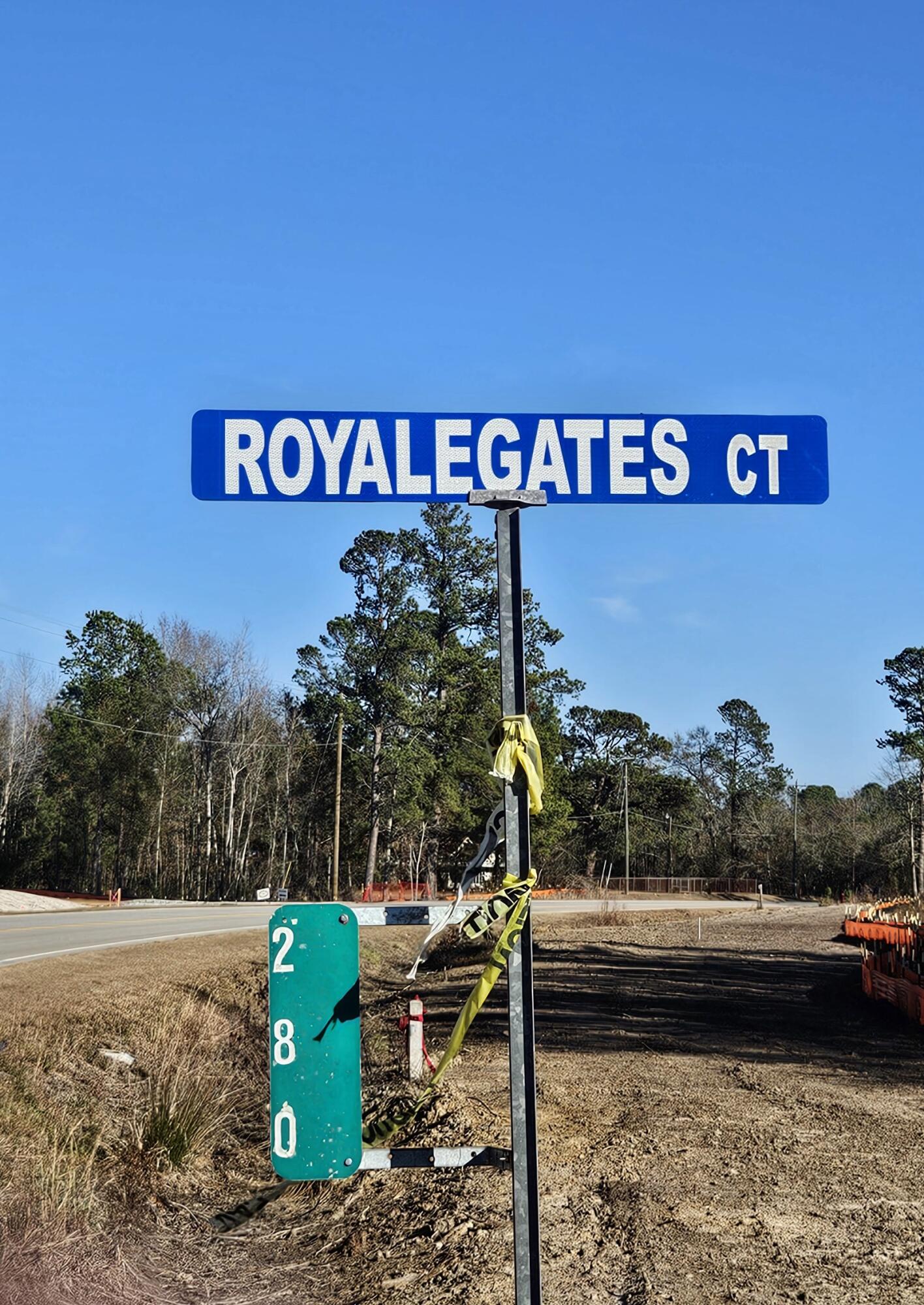 280 Royalegates Court Cross, SC 29436 - Photo 29 of 29 20250103_144020