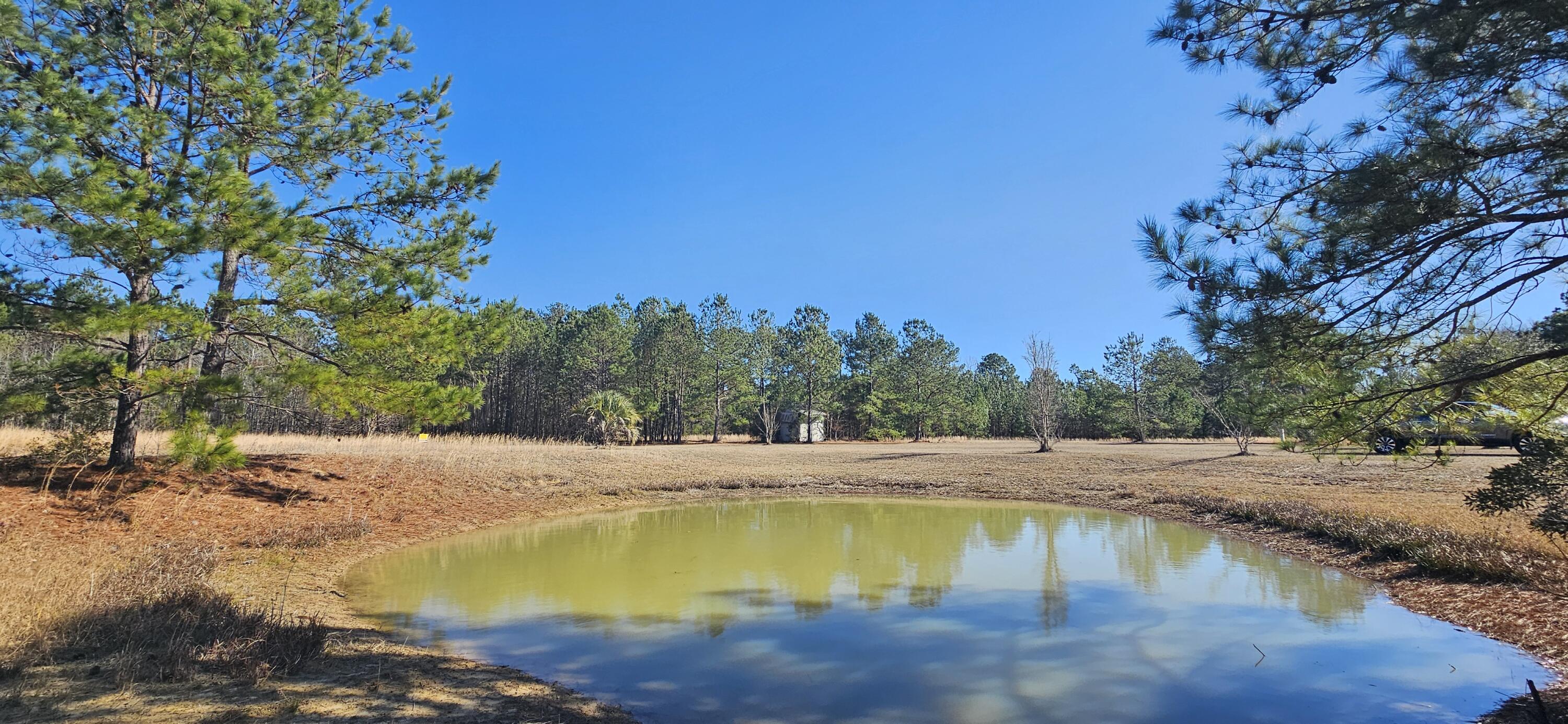 280 Royalegates Court Cross, SC 29436 - Photo 5 of 29 20250103_130952
