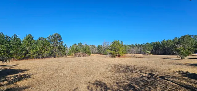 $995,000 | 280 Royalegates Court, Cross, SC 29436