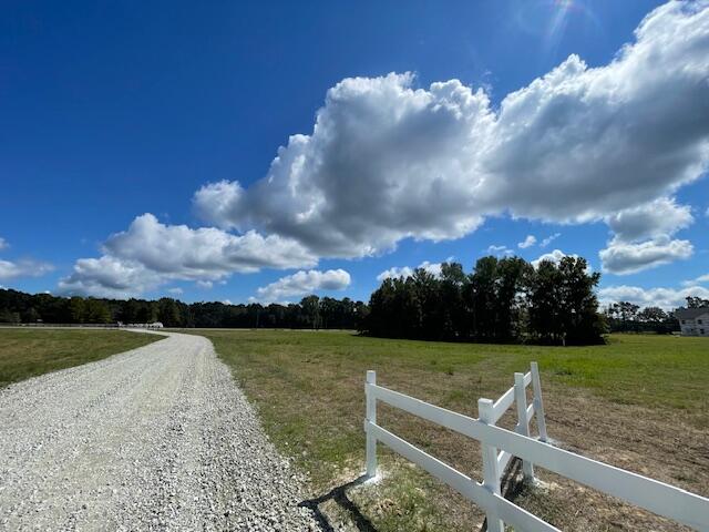 308 Austin Swamp Lane Ridgeville, SC 29472 - Photo 3 of 5 IMG_5525