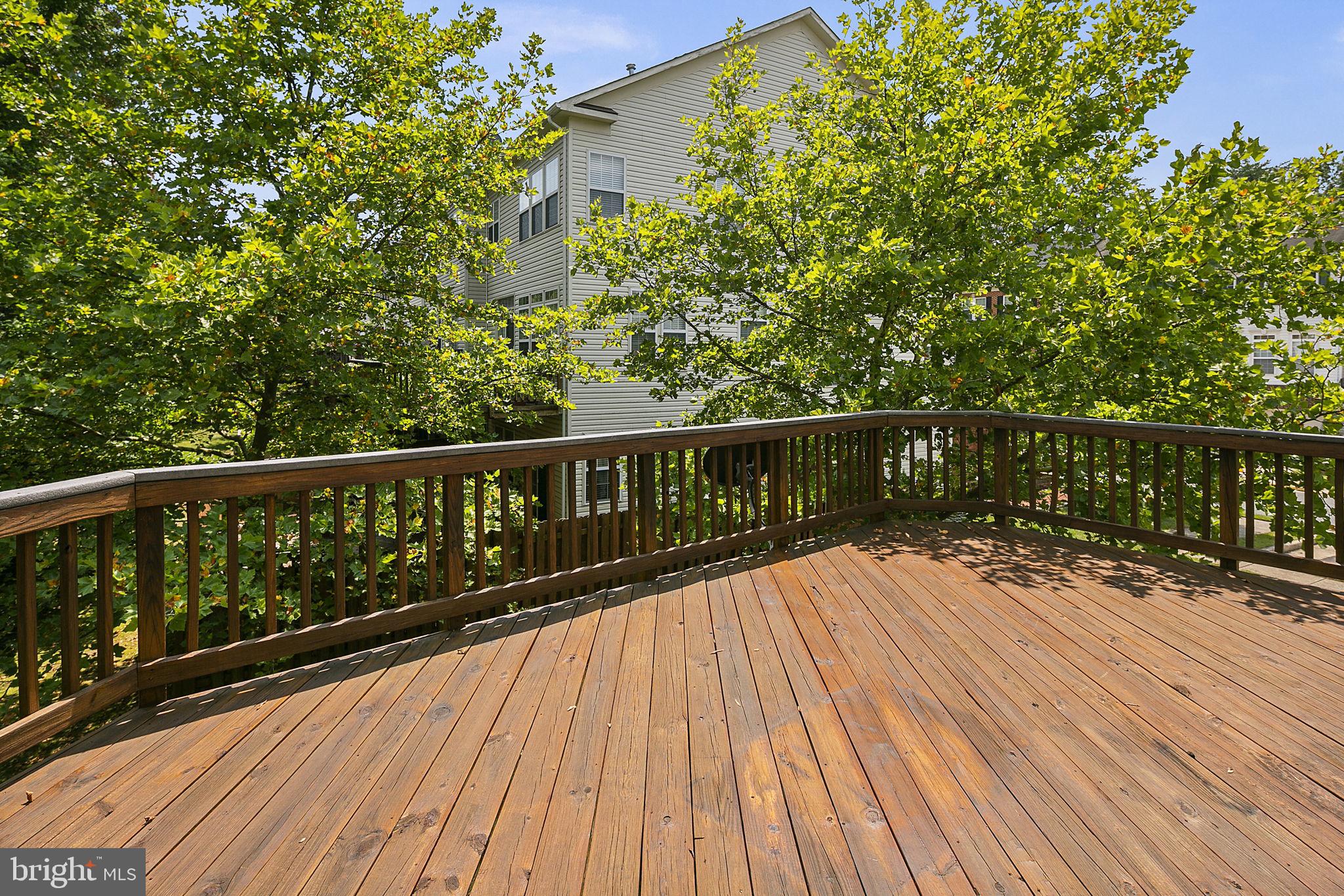 8535 Wyngate Manor Court Alexandria, VA 22309 - Photo 19 of 22