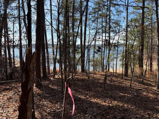 4-14 Old Ferry Road McCormick, SC 29835 - Photo 8 of 9 O F 7